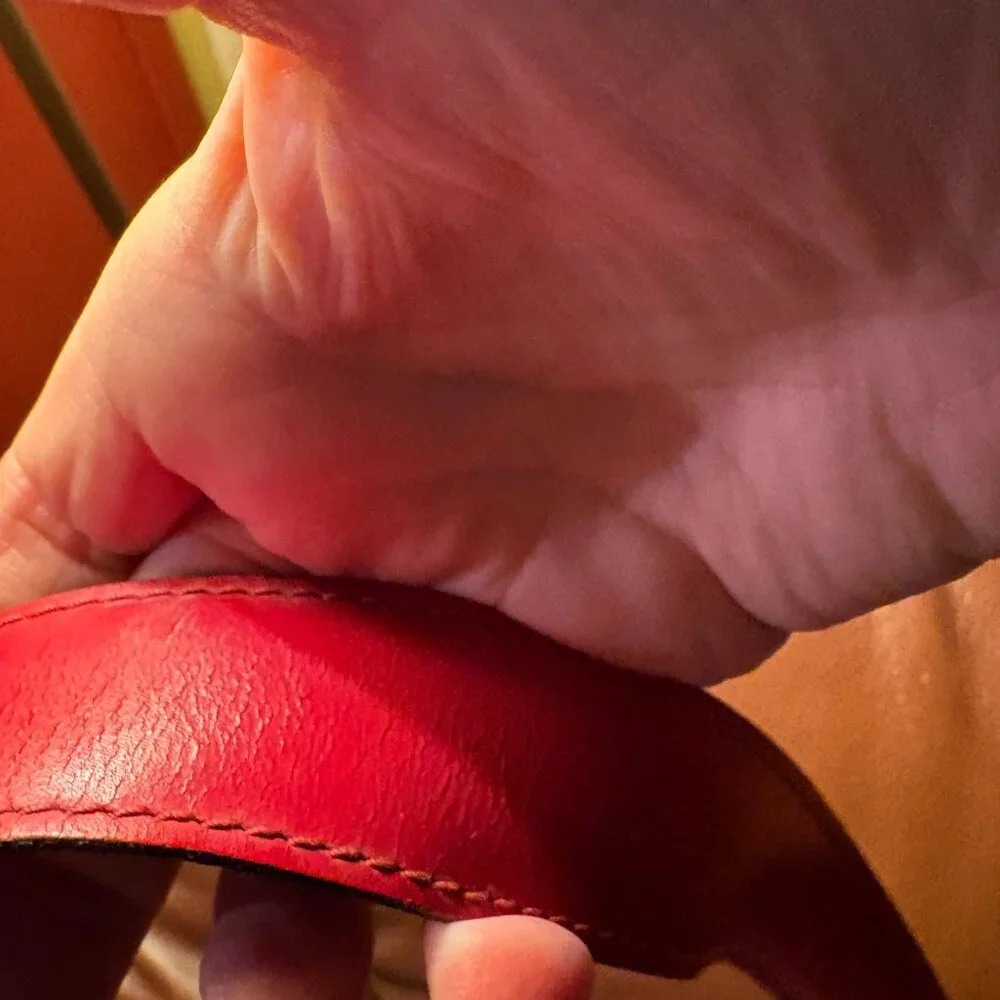 LOUIS VUITTON Epi Sac Depaule GM Shoulder Bag Red M80207 LV Auth 131025 - Picture 11 of 16